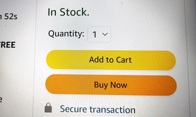 An e-commerce site is shown in this photo illustration. According to Chantel Chapman, a Richmond, B.C.-based financial educator, many people tend to unconsciously overspend or compulsively spend to soothe feelings of pain or discomfort. THE CANADIAN PRESS