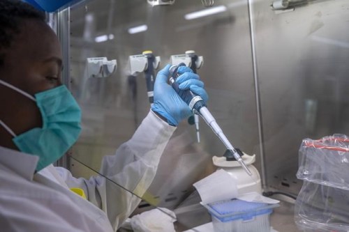 Puseletso Lesofi prepares to sequence COVID-19 Omicron samples at the Ndlovu Research Center in Elandsdoorn, South Africa on Wednesday Dec. 8, 2021. THE CANADIAN PRESS/AP-Jerome Delay