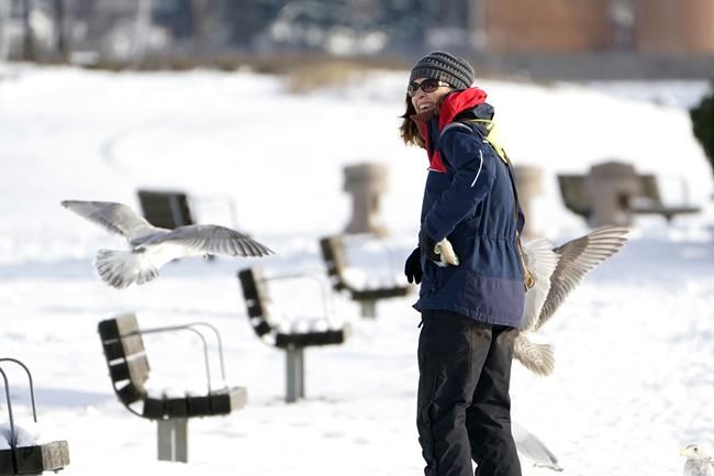 A woman turns back to eye gulls surrounding her hoping for a treat as she walks in a snow-covered park Tuesday, Dec. 28, 2021, in Bellingham, Wash. Snow, ice and unseasonable cold in the Pacific Northwest and the Sierra Nevada are continuing to disrupt traffic, cause closures and force people to find refuge in emergency warming shelters. (AP Photo/Elaine Thompson)