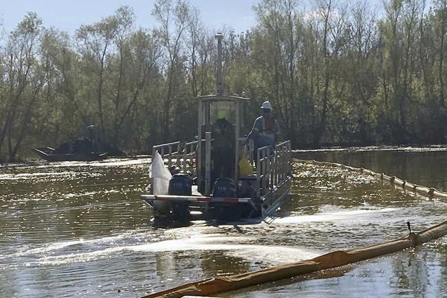 This undated photo provided by the Louisiana Department of Environmental Quality on Wednesday, Jan. 12, 2022, shows cleanup work at the site where more than 300,000 gallons of diesel spilled on Dec. 27, 2021, just outside New Orleans. An October 2020 inspection revealed external corrosion along a 22-foot section of pipe in the same area as the spill. But documents show repairs were delayed after a subsequent inspection indicated the corrosion was not bad enough to require work immediately under federal regulations. (Louisiana Department of Environmental Quality via AP)