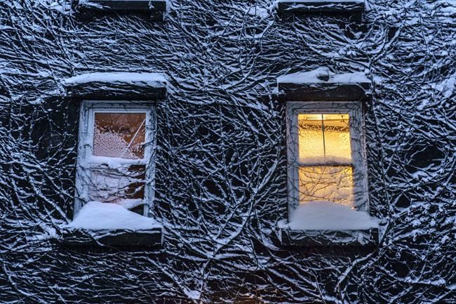 Vines scaling the side of a building are covered in snow in Providence, R.I., Saturday, Jan. 29, 2022. A powerful nor'easter swept up the East Coast on Saturday, threatening to bury parts of 10 states under deep, furiously falling snow accompanied by coastal flooding and high winds that could cut power and leave people shivering in the cold weather expected to follow. (AP Photo/David Goldman)