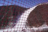 The alpine skiing downhill course can be seen through safety fencing at the 2022 Winter Olympics, Wednesday, Feb. 2, 2022, in the Yanqing district of Beijing. (AP Photo/Robert F. Bukaty)