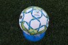 A game ball for the Canadian Premier League is seen during a match between York United FC and Forge Hamilton FC in CPL soccer action at York Lions Stadium in Toronto on Friday, July 30, 2021. THE CANADIAN PRESS/Tijana Martin