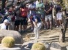 Jordan Spieth hits off the dirt on the ninth hole during the second round of the Phoenix Open golf tournament Friday, Feb. 11, 2022, in Scottsdale, Ariz. (AP Photo/Darryl Webb)