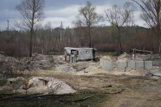 Russian trenches and firing positions in the highly radioactive Red Forest stuffed with radioactive remnants near the Chernobyl nuclear power plant in Chernobyl, Ukraine, Saturday, April 16, 2022. (AP Photo/Efrem Lukatsky)