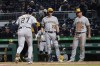 Milwaukee Brewers' Jace Peterson (14) and Christian Yelich (22) await Willy Adames after he hit a three-run home run against the Pittsburgh Pirates during the sixth inning of a baseball game, Tuesday, April 26, 2022, in Pittsburgh. (AP Photo/Keith Srakocic)