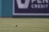 A rat scurries in the outfield during the sixth inning of a baseball game between the Washington Nationals and the New York Mets at Nationals Park, Tuesday, May 10, 2022, in Washington. (AP Photo/Alex Brandon)