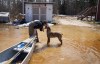 President and founder of Save A Dog Network, Katie Powell gets a kiss from a dog after bringing bags of dog food by canoe to stranded homes during flooding in Peguis First Nation, Man., Wednesday, May 4, 2022. Dozens of experts advising the government on the best way to adapt to the reality of climate change say we need to do more to prepare infrastructure for the threats of extreme weather and get faster to help Canadians recover when their lives and livelihoods are threatened by floods, fires and major storms.THE CANADIAN PRESS/David Lipnowski