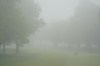A person drives a golf cart through heavy fog before the start of the fourth round of the LPGA Cognizant Founders Cup golf tournament, Sunday, May 15, 2022, in Clifton, N.J. The start of the final round was delayed by an hour due to heavy fog. (AP Photo/Seth Wenig)