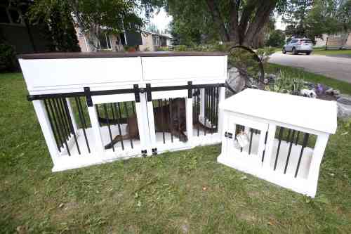 JOHN WOODS / WINNIPEG FREE PRESS
JOHN WOODS / WINNIPEG FREE PRESS
Callie shows how roomy her kennel is outside her home in Selkirk Wednesday, September 8, 2021. Matt and Kaelyn Proutt have started M+K Wood Co., a business that started as a cabinet supplier but now turns out custom, wooden kennels for dogs.

Reporter: ?