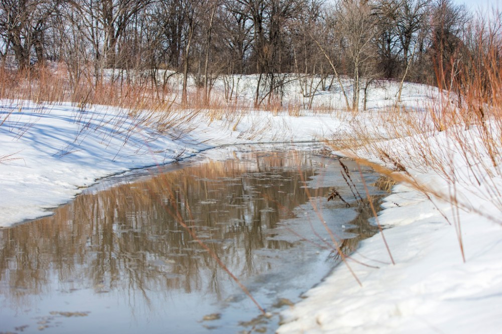 Omand's Creek was filled with sewage during the spill. (Mikaela MacKenzie / Winnipeg Free Press files)