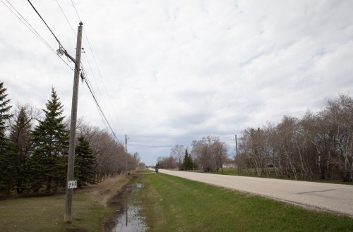 Jessica Lee
A telephone pole in West St. Paul. (Jessica Lee / Winnipeg Free Press)