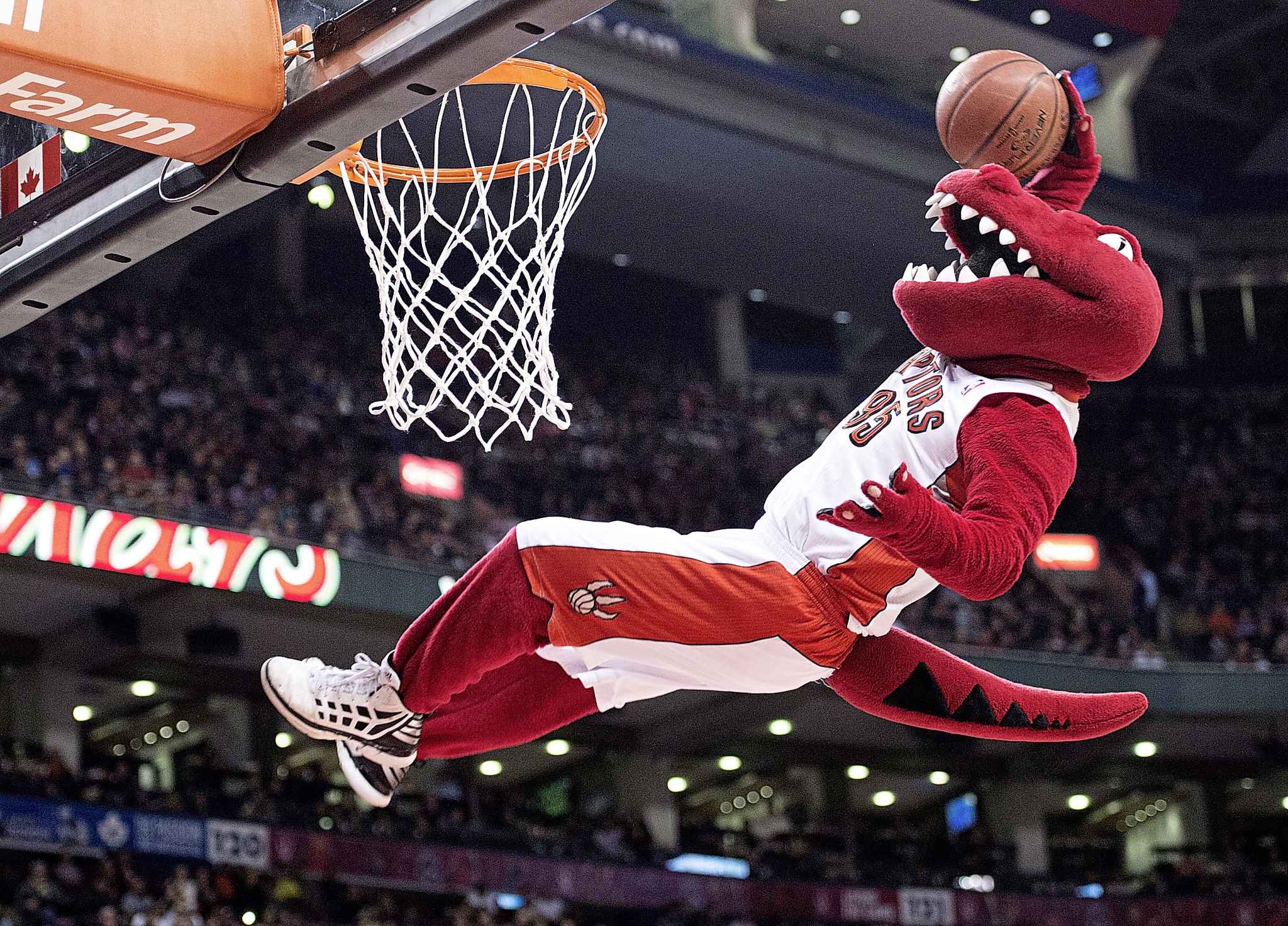 Ryan Bonne Raptor Ace Burpeeâs Fascinating Manitobans for 2019: The Manitoba 150 Edition ...