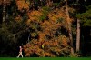 Collin Morikawa walks off the third green during a practice round for the Masters golf tournament Monday, Nov. 9, 2020, in Augusta, Ga. (AP Photo/Matt Slocum)