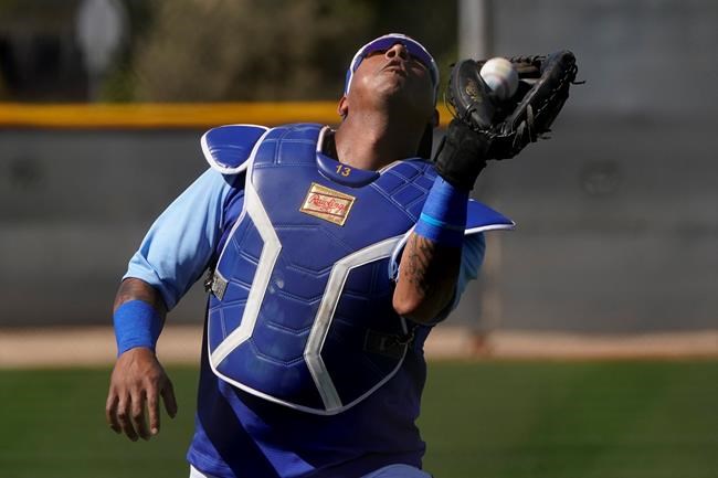 Kansas City Royals' Salvador Perez catches a ball during spring training baseball practice Wednesday, Feb. 24, 2021, in Surprise, Ariz. (AP Photo/Charlie Riedel)