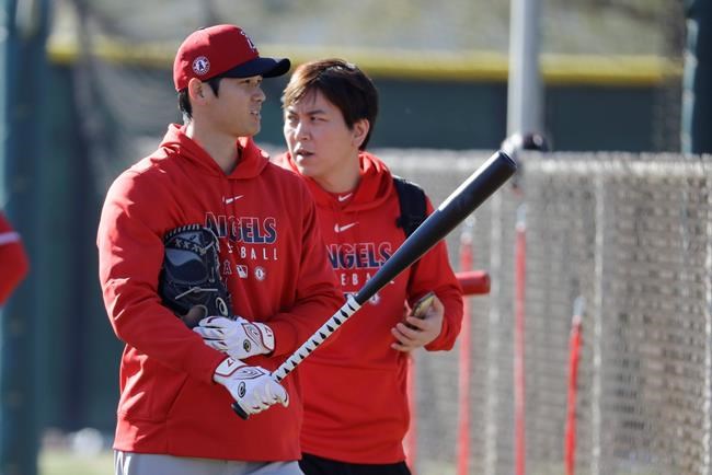 Los Angeles Angels' Shohei Ohtani walks to the batting cage during spring training baseball practice, Wednesday, Feb. 12, 2020, in Tempe, Ariz. (AP Photo/Darron Cummings)