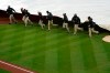 Grounds crew members place a tarp over the infield at Oriole Park at Camden Yards prior to a baseball game between the Baltimore Orioles and the Seattle Mariners, Monday, April 12, 2021, in Baltimore. (AP Photo/Julio Cortez)