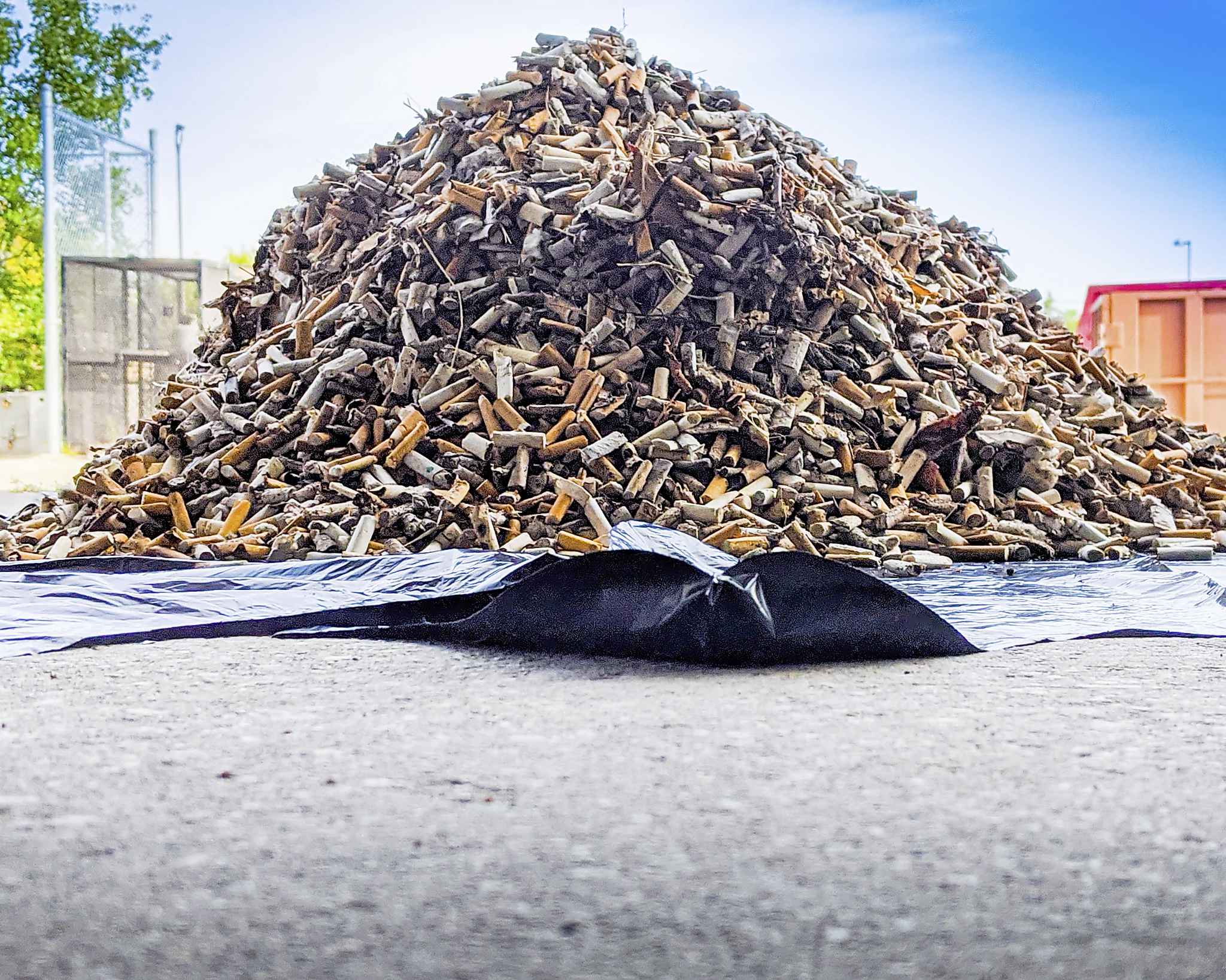 Street blitz collects 39,306 cigarette butts – Winnipeg Free Press