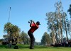 Tiger Woods tees off on the 12th hole during the final round of the Genesis Invitational golf tournament at Riviera Country Club, Sunday, Feb. 16, 2020, in the Pacific Palisades area of Los Angeles. (AP Photo/Ryan Kang)