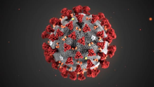 In this illustration provided by the Centers for Disease Control and Prevention (CDC) in January 2020 shows the 2019 Novel Coronavirus (2019-nCoV). China's envoy to Ottawa is offering glowing praise for Canada's help in combatting the outbreak of the novel coronavirus and is suggesting that might useful in repairing the diplomatic rift between their countries. THE CANADIAN PRESS/AP-CDC via AP, File