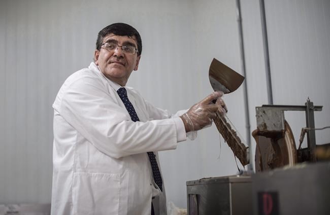 Syrian chocolatier Assam Hadhad puts chocolate into moulds at his newly opened Peace By Chocolate factory in Antigonish, N.S. on Saturday, September 9, 2017. A Nova Scotia chocolate maker who came to Canada as a Syrian refugee will become a Canadian citizen today. THE CANADIAN PRESS/Darren Calabrese