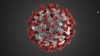 Nurses' unions are warning the Canadian public health agency's guidelines to protect health care workers from the novel coronavirus don't go far enough, and may be putting them and patients at risk. In this illustration provided by the Centers for Disease Control and Prevention (CDC) in January 2020 shows the 2019 Novel Coronavirus (2019-nCoV). THE CANADIAN PRESS/AP-CDC via AP, File