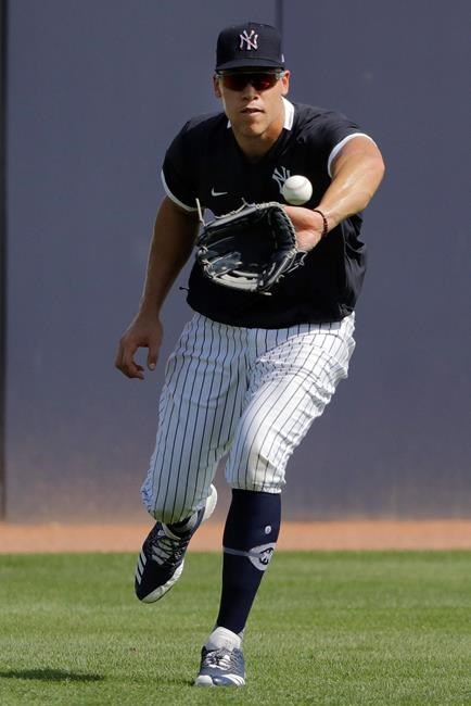 New York Yankees' Aaron Judge catches a ball during a spring training baseball workout Tuesday, Feb. 18, 2020, in Tampa, Fla. (AP Photo/Frank Franklin II)