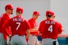St. Louis Cardinals manager Mike Shildt talks with members of his team during spring training baseball practice Wednesday, Feb. 12, 2020, in Jupiter, Fla. (AP Photo/Jeff Roberson)