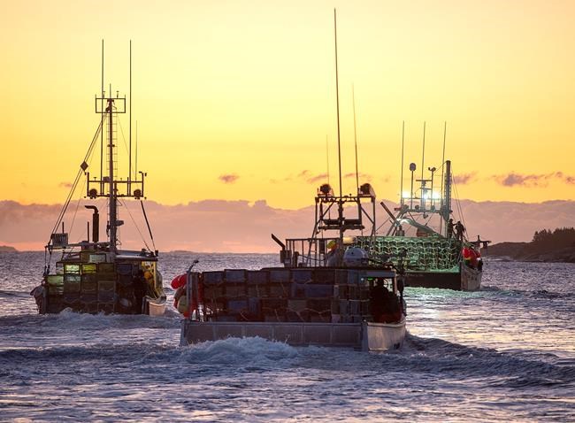 Fishing boats, loaded with traps, head from port as the lobster season on Nova Scotia's South Shore begins, in West Dover, N.S., Tuesday, Nov. 26, 2019. A First Nation in Nova Scotia plans to launch its own lobster fishing fleet today, in defiance of federal regulations that say the fishery is closed for the season. THE CANADIAN PRESS/Andrew Vaughan
