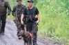 A K9 unit and other police officers search a back road on Saturday, July 11, 2020 in St-Apollinaire, Que. Quebec provincial police continued to search through the night for the father of two girls whose bodies were found Saturday in a small town southwest of Quebec City.THE CANADIAN PRESS/Jacques Boissinot