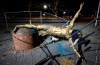 FILE - In this Sunday Jan. 5, 2020 file photo, the damaged statue of soccer player Zlatan Ibrahimovic next to Stadion football arena in Malmo, Sweden. The much-vandalized statue of Zlatan Ibrahimovic is staying in Malmo. Committee members from the Swedish city‚Äôs council have held a meeting Monday, May 18 to discuss proposals from local citizens about where to move the statue of the soccer player from its current location outside Malmo‚Äôs stadium. The bronze sculpture has been repeatedly attacked since Ibrahimovic become a part-owner in Hammarby.(Johan Nilsson/TT via AP, file)