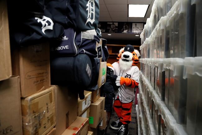 Paws, the Detroit Tigers mascot, helps load equipment at Comerica Park in Detroit, Monday, Feb. 3, 2020 in preparation for the move to Lakeland, Fla., for the opening of spring training. (AP Photo/Carlos Osorio)