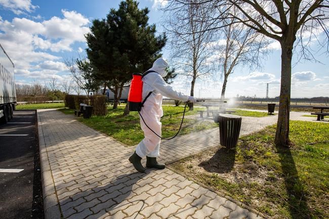 An employee of the national public road maintenance company sprays a litter bin with disinfectant to prevent the spread of the new coronavirus at a rest area of the M70 motorway near Csornyefold, southwestern Hungary, Tuesday, March 10, 2020. The authorities have ordered the disinfection of the entire highway system, with special regards to the motorists' stops. For most people, the new coronavirus causes only mild or moderate symptoms, such as fever and cough. For some, especially older adults and people with existing health problems, it can cause more severe illness, including pneumonia. (Gyorgy Varga/MTI via AP)