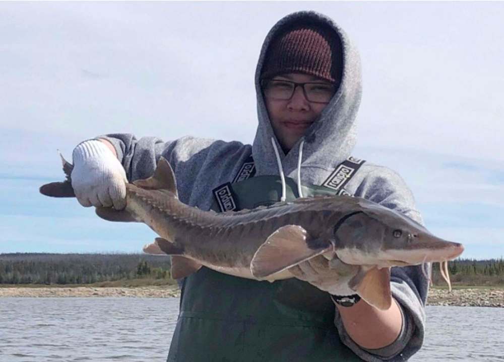 SUPPLIED
Priscilla Spence, Tataskweyak FN member, working as part of an ongoing Sturgeon study on the Lower Churchill River.