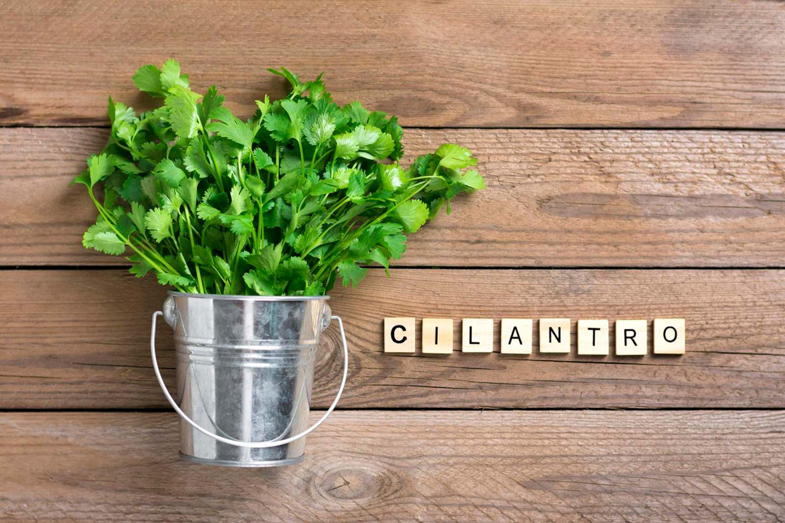 Citrusy cilantro gives zesty boost to fruit and vegetable salads ...