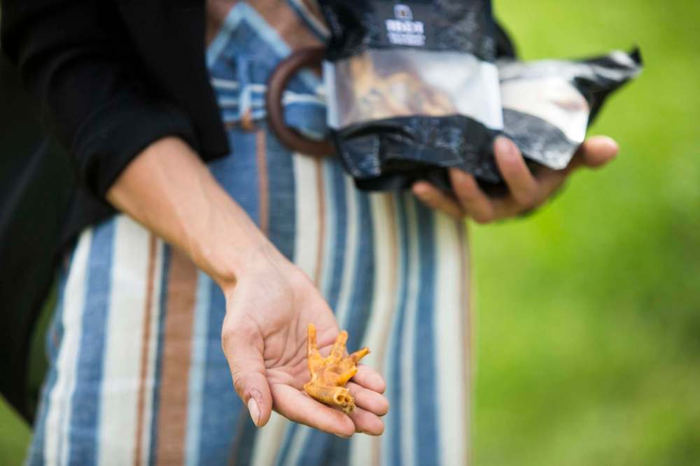 MIKAELA MACKENZIE / WINNIPEG FREE PRESS
Sierra Lathlin, owner of Barkery Dog Treats, shows off some dehydrated chicken feet treats while taking the dogs for a play at Westview Park in Winnipeg.