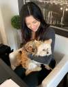 SUPPLIED
Andreina Holliday's Yorkie-Maltese mix Tango, right, and Yorkie, Rocky were at Pooches Playhouse daycare on May 7 when both were fatally attacked.