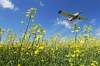 Tim Smith / Brandon Sun files
A new federal report indicates longer growing seasons for the Prairies.
