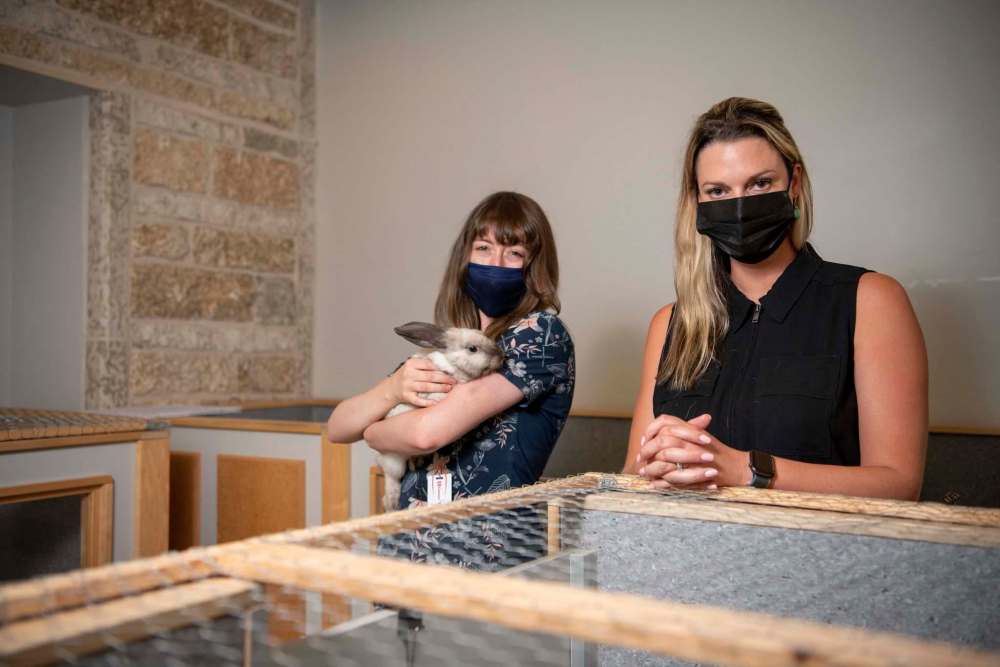 Animal shelters almost full Winnipeg Free Press