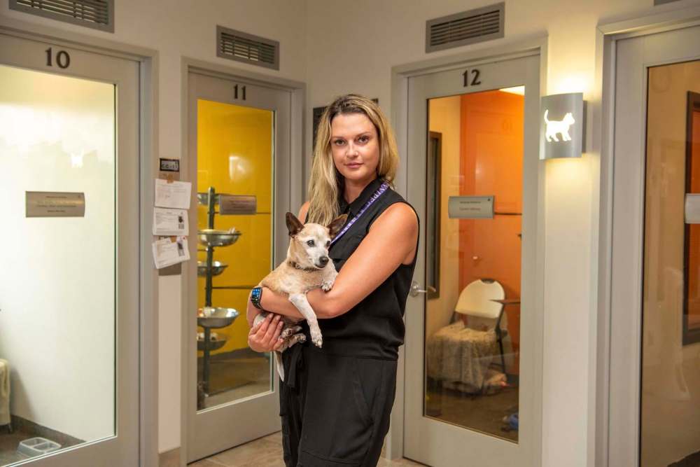 Animal shelters almost full Winnipeg Free Press