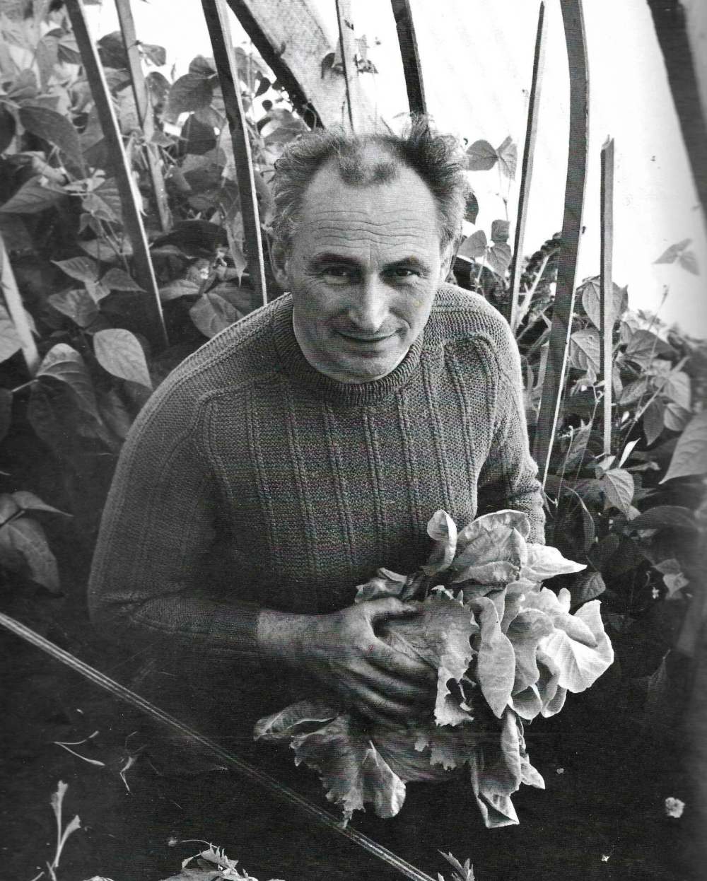 SUPPLIED
Passages feature - André Achille Goussaert
- Andre - 1980 in Greenhouse - From book