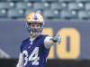 SASHA SEFTER / WINNIPEG FREE PRESS files
Special-teams standout Jesse Briggs will move to weak-side linebacker in the absence of Jontrell Rocquemore.