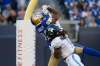 John Woods / The Canadian Press 
Bombers receiver Rasheed Bailey scored his first CFL TD Friday against the Argos.