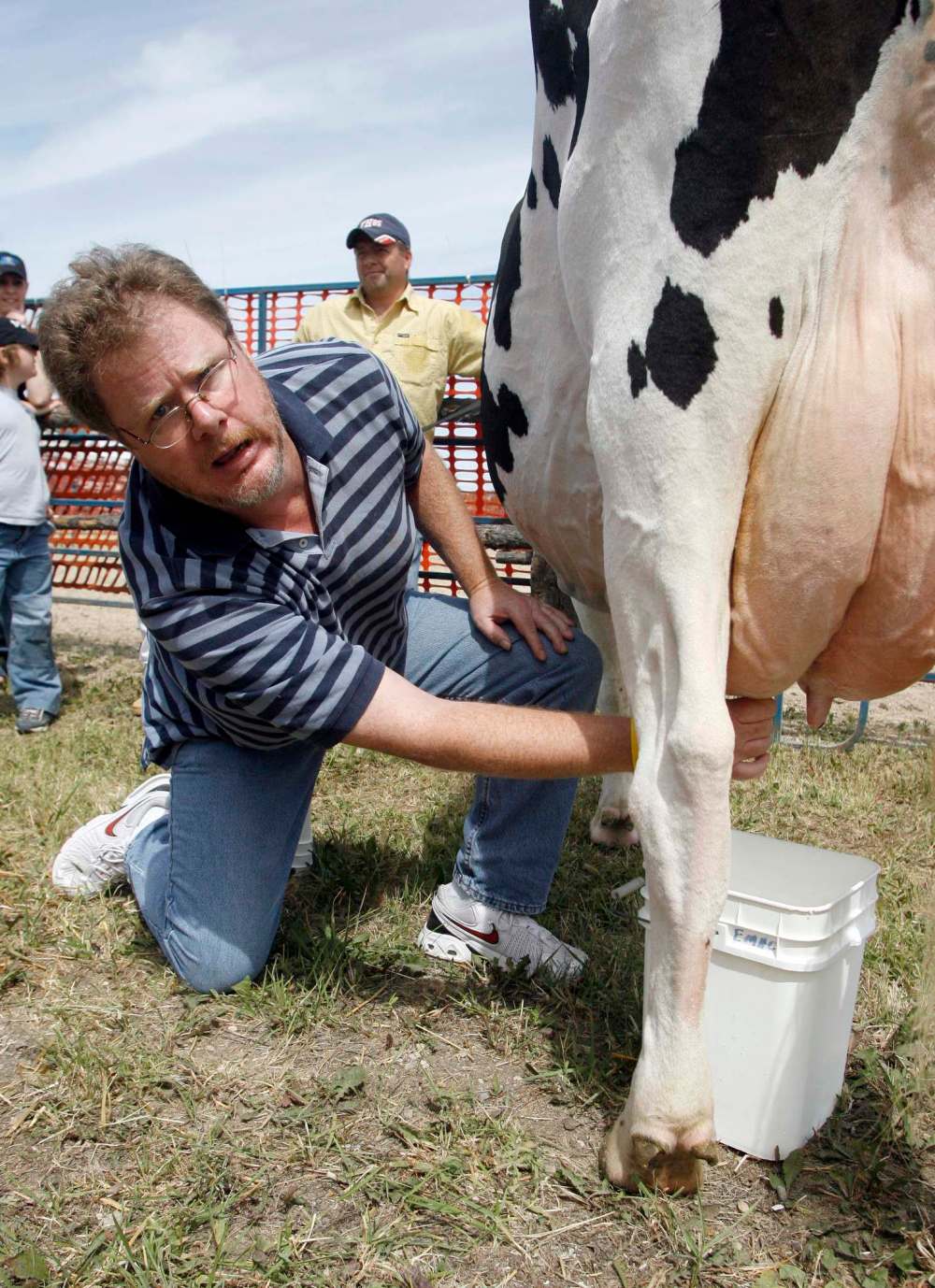 A beef with boundary-breaking bovines – Winnipeg Free Press