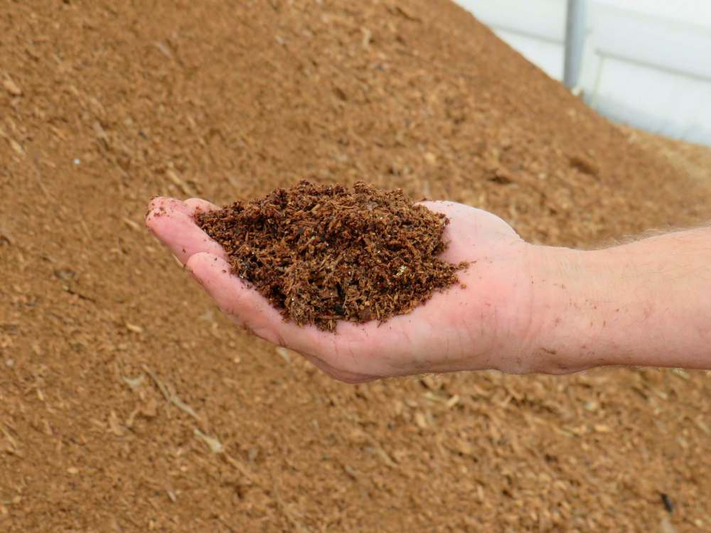 Grant’s fish compost has just two ingredients — fish and sawdust — and no odour.