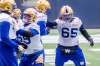 The Bombers are confident offensive lineman Asotui Eli (right) can fill in if Jermarcus Hardrick isn't able to play Friday against the Elks in Edmonton. (Mikaela MacKenzie / Winnipeg Free Press)