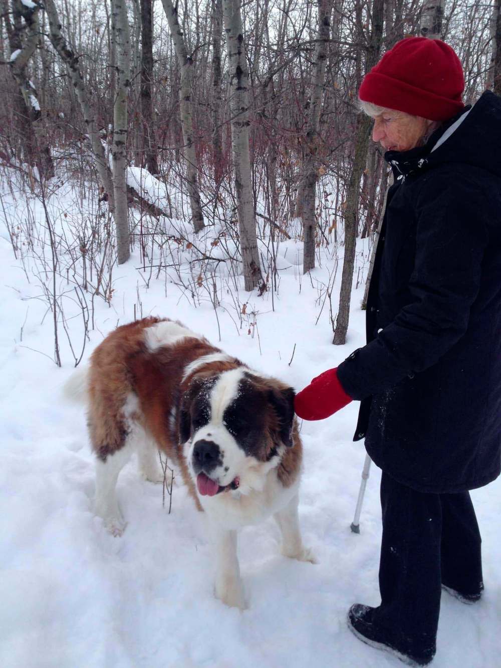 Supplied
Anne and her beloved St. Bernard, Daisy.