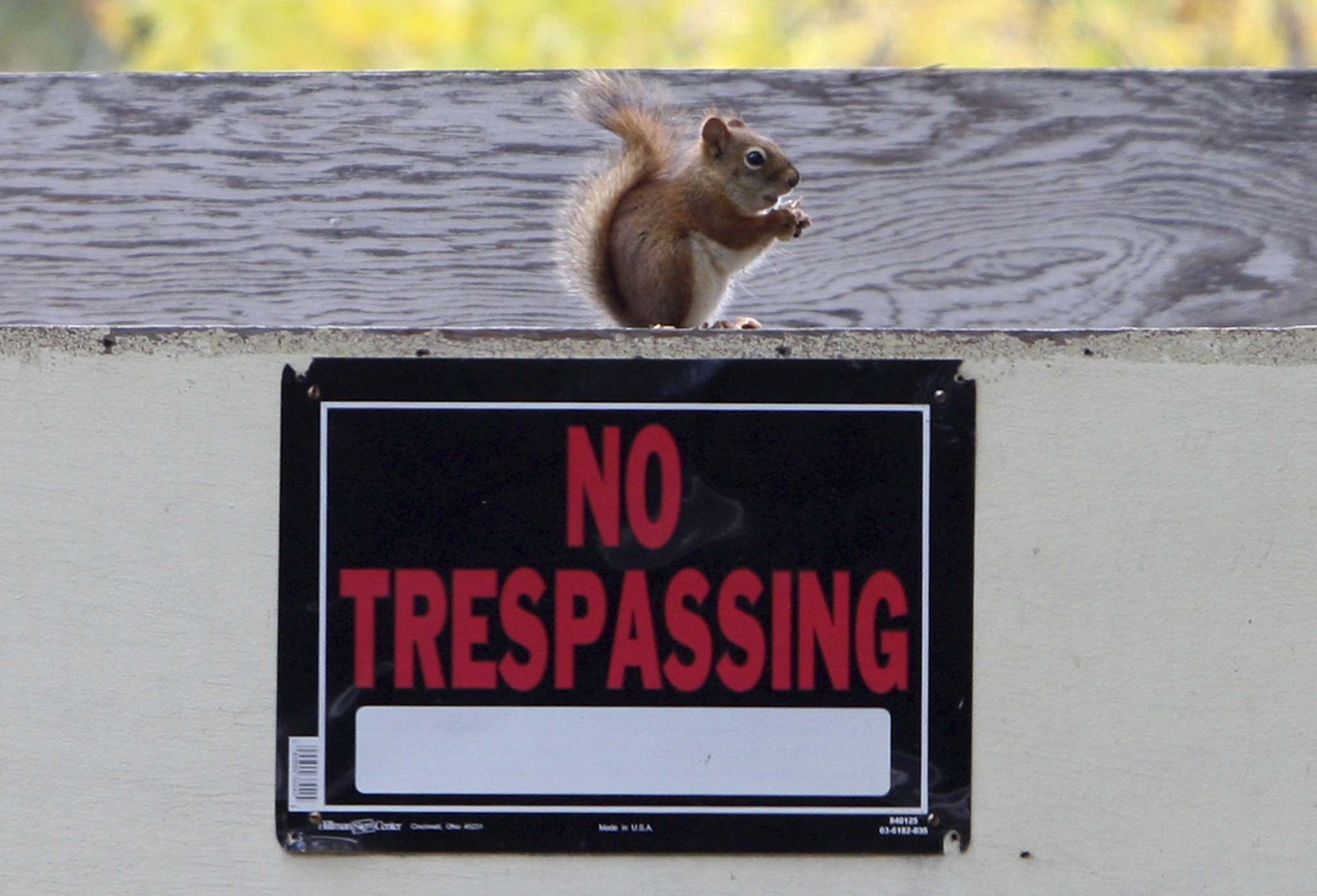 New Manitoba trespassing, biosecurity laws in effect Winnipeg Free Press