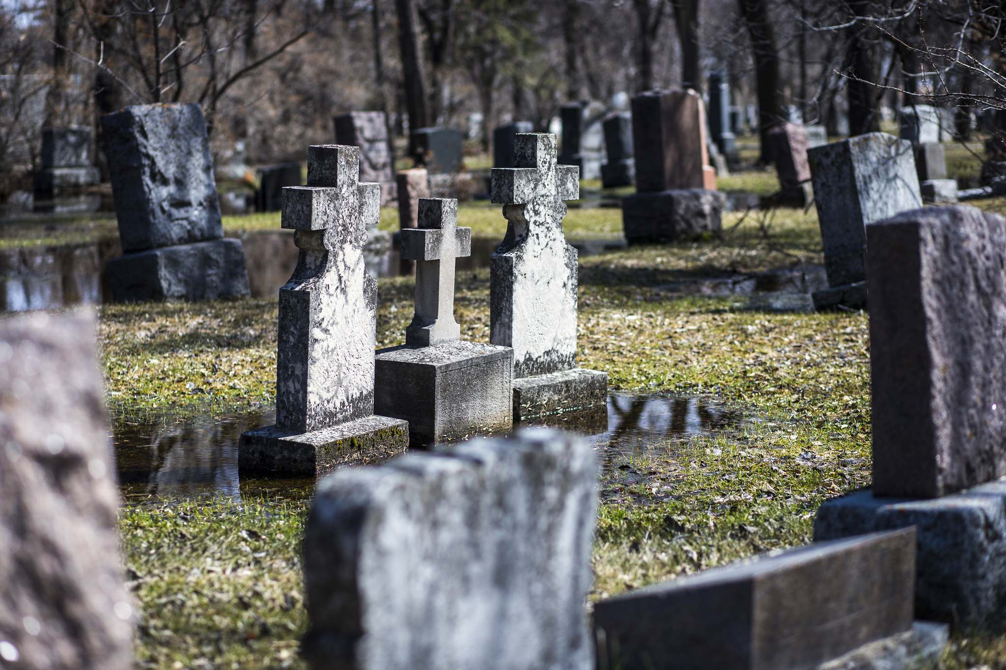 City plots path to ensure cemetery upkeep Winnipeg Free Press