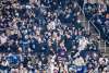 An average of 13,731 people took in the first 10 Winnipeg Jets games, which equates to 91.5 per cent capacity. (Jessica Lee / Winnipeg Free Press files)